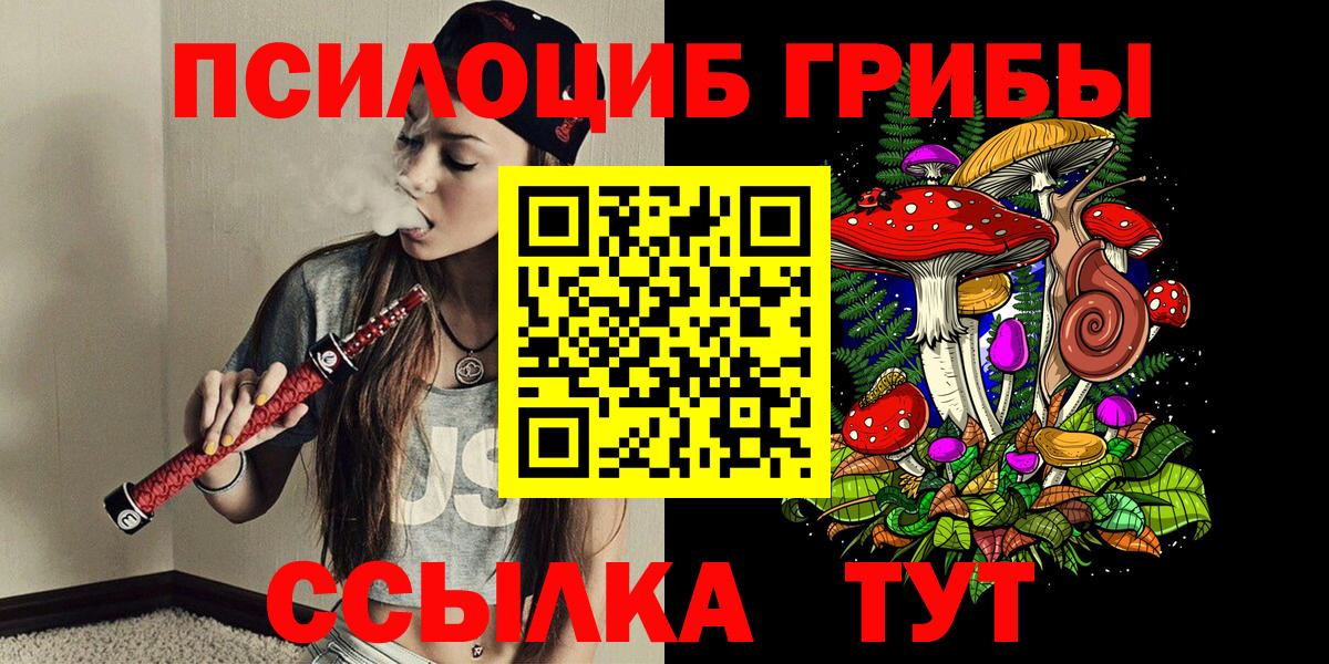 Галлюциногенные грибы Psilocybine cubensis Новый Уренгой