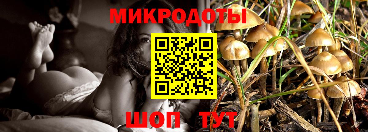 Галлюциногенные грибы Psilocybine cubensis  Вход с VPN  дарнет шоп  Новый Уренгой 